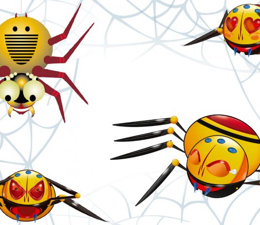 Araña RAM: “La historia de mi vida”