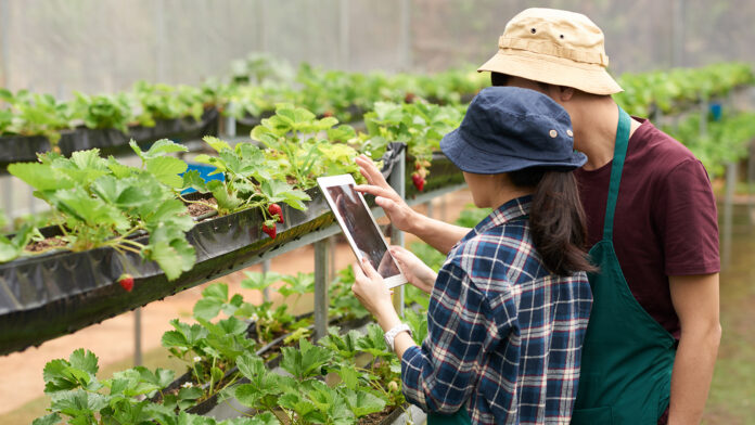 ORACLE-IA-AGRICULTURA-CTI-963