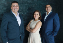 ARAÑA-RAM-CTI-973-Transfar-en-la-industria-TI