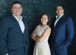 ARAÑA-RAM-CTI-973-Transfar-en-la-industria-TI