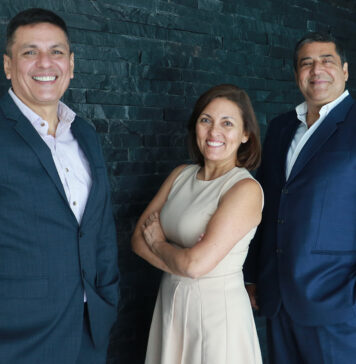 ARAÑA-RAM-CTI-973-Transfar-en-la-industria-TI