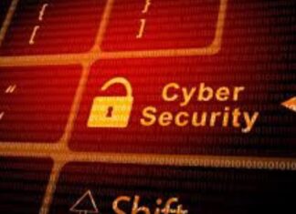 DIMA-SEGURO-CIBERNÉTICO-CTI-979