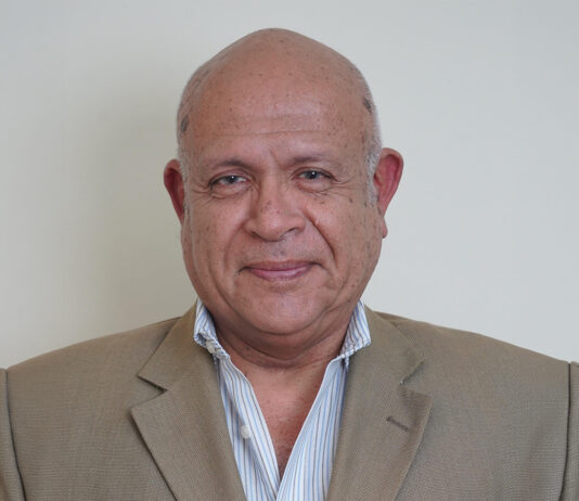 Por Fernando Grados Analista Senior TI Dominio Consultores